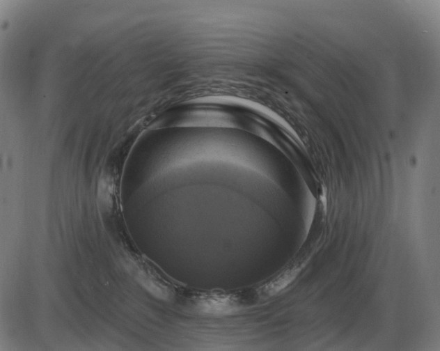 X0000085320235200703161514