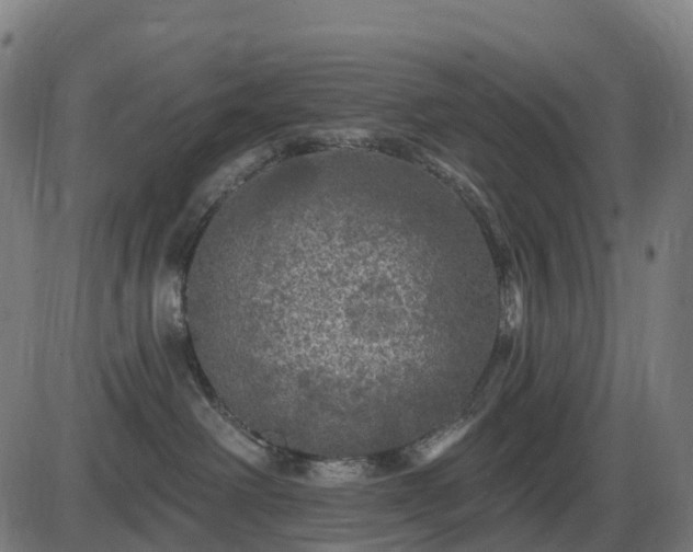 X0000085320238200703161513