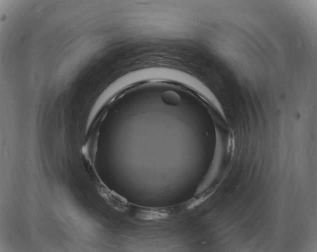 X0000085320239200703161513