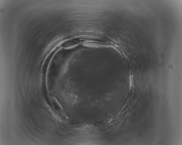 X0000085320243200703161513