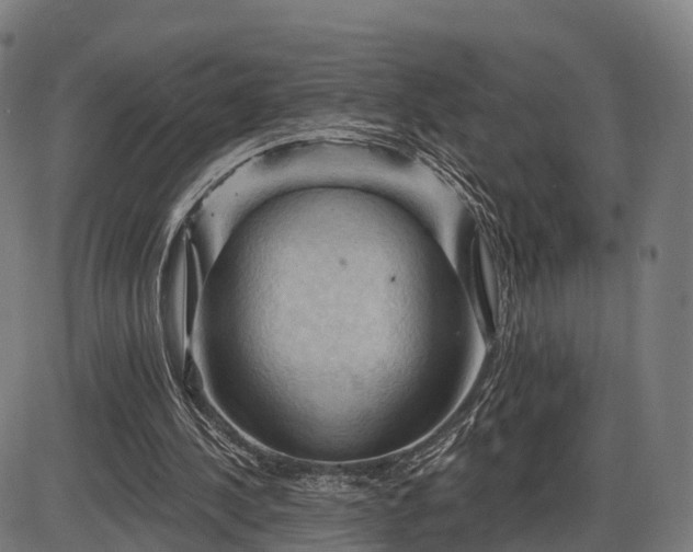 X0000085320244200703161513