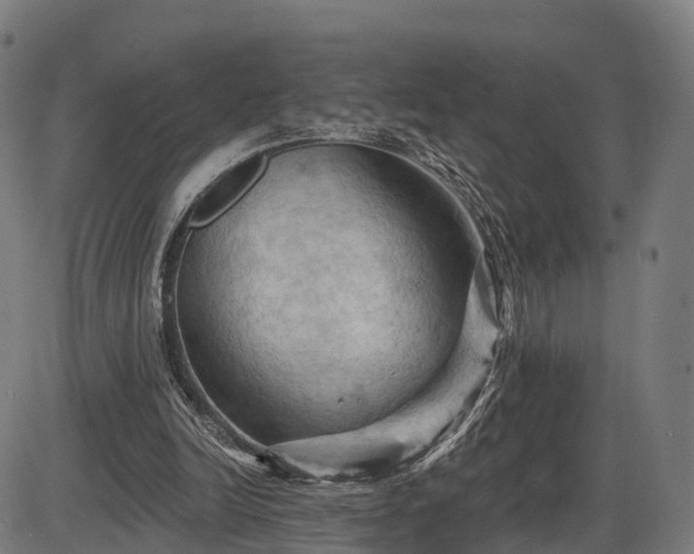 X0000085320246200703161513