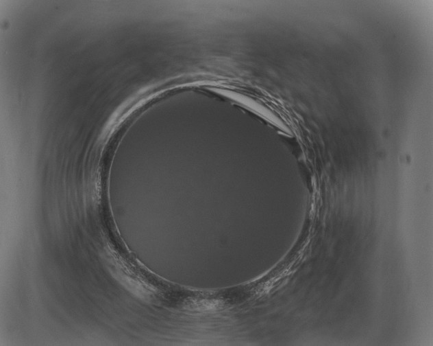 X0000085320247200703161513