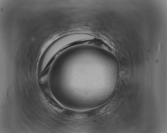 X0000085320248200703161513