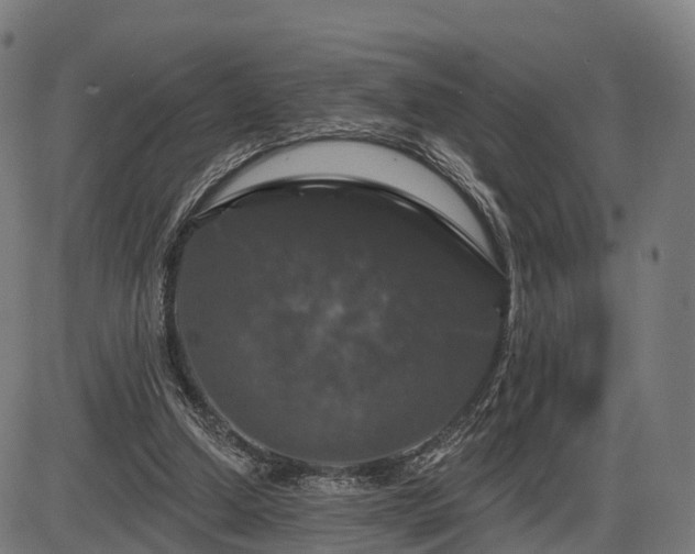 X0000085320250200703161513