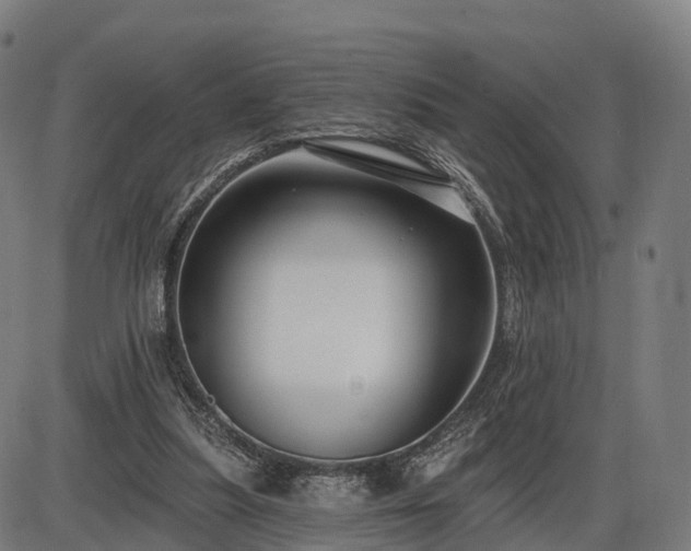 X0000085320251200703161513