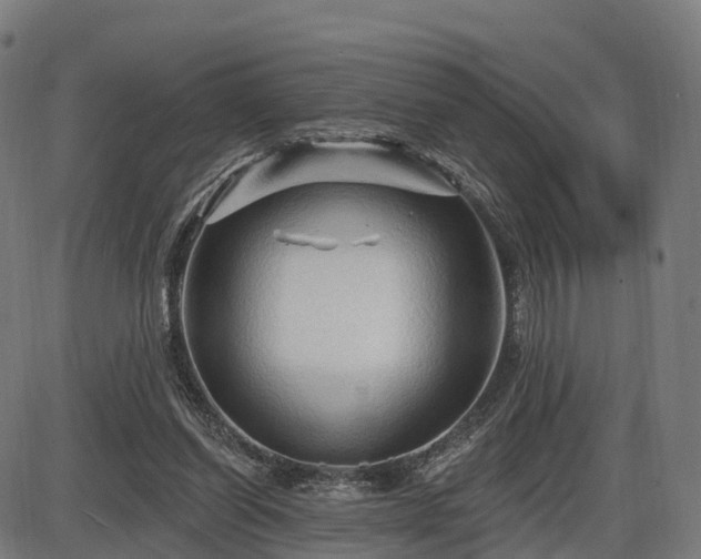 X0000085320254200703161513