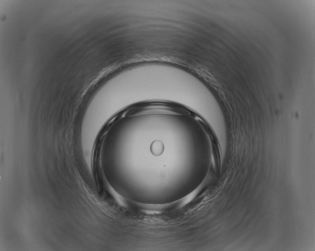 X0000085320256200703161513