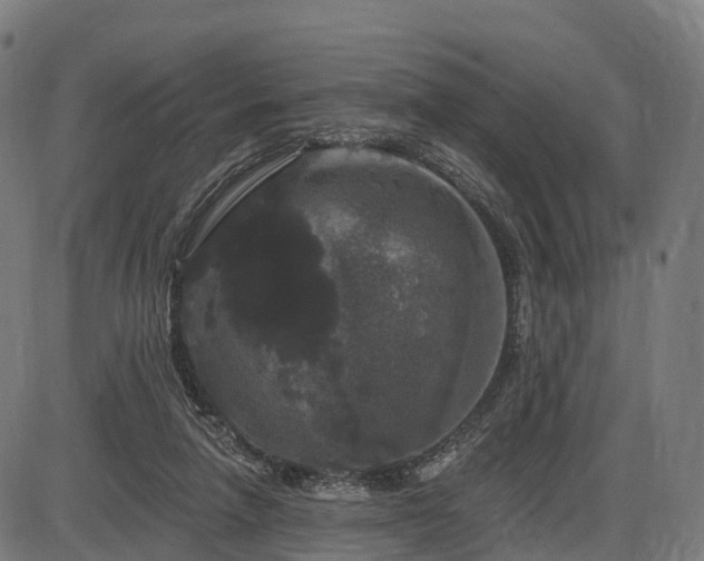 X0000085320258200703161513