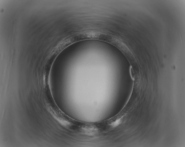 X0000085320262200703161513