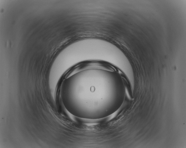 X0000085320264200703161513