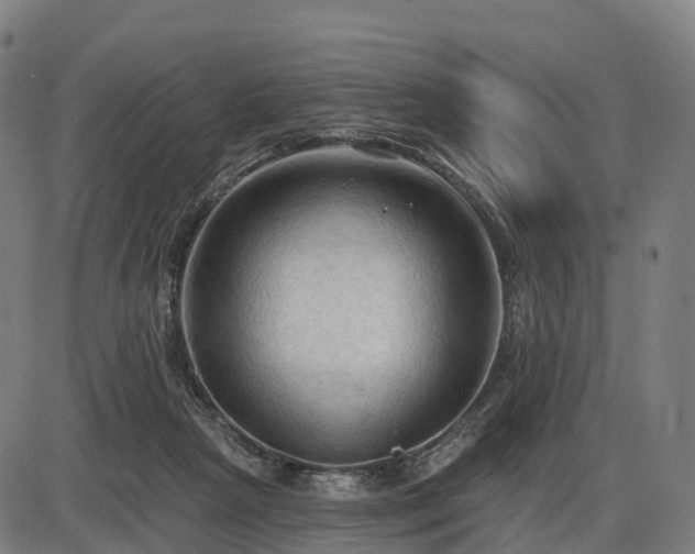 X0000085320265200703161513