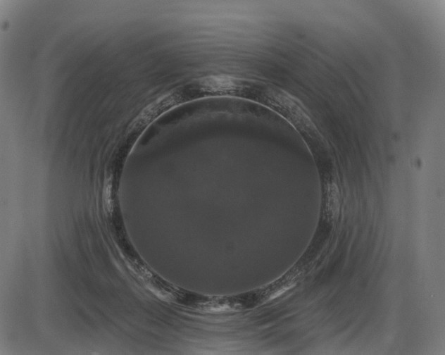 X0000085320267200703161513