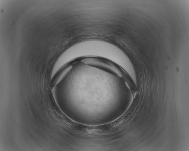 X0000085320268200703161513