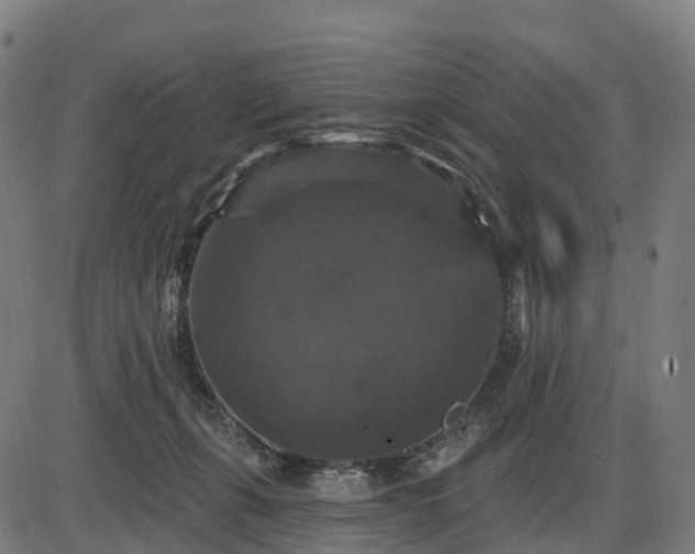X0000085320271200703161513