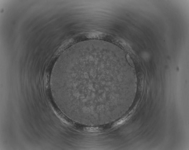 X0000085320273200703161513