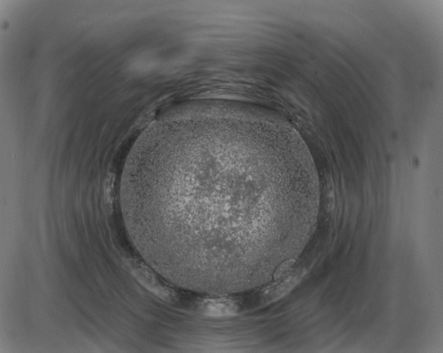 X0000085320275200703161513