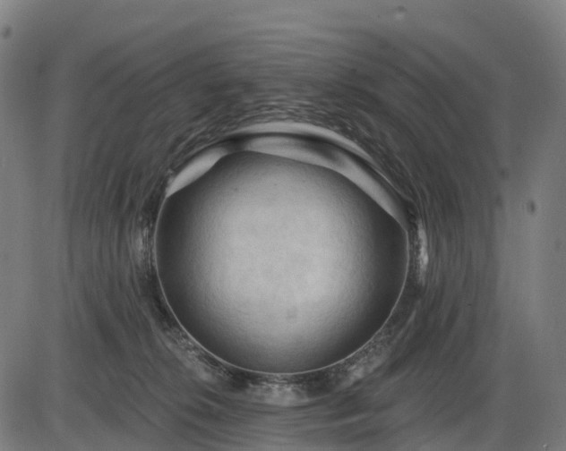 X0000085320276200703161513