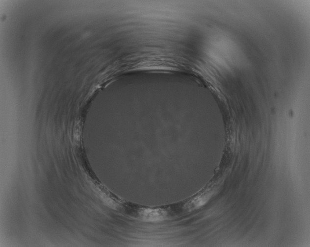 X0000085320277200703161513