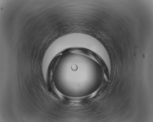 X0000085320280200703161513