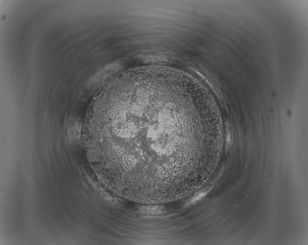 X0000085320281200703161513