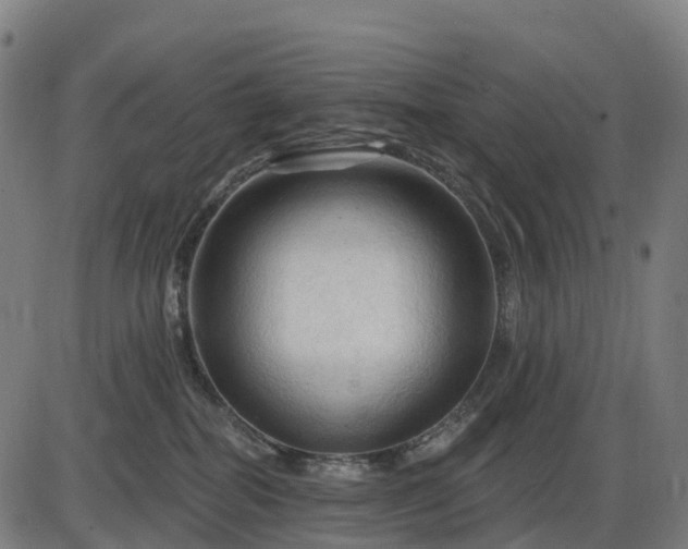 X0000085320282200703161513