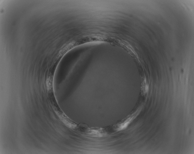 X0000085320285200703161513