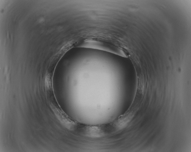 X0000085320287200703161513