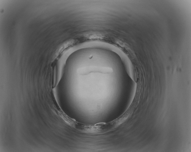 X0000085320288200703161513