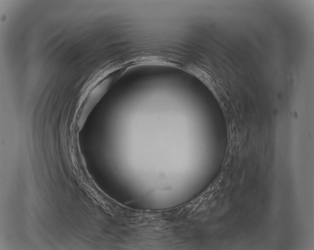 X0000085320289200703161513
