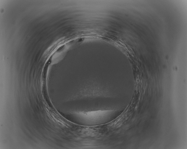 X0000085320290200703161513