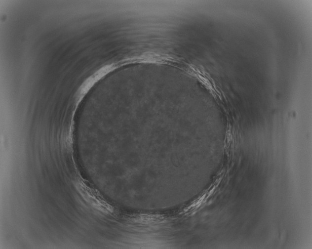 X0000085320292200703161513