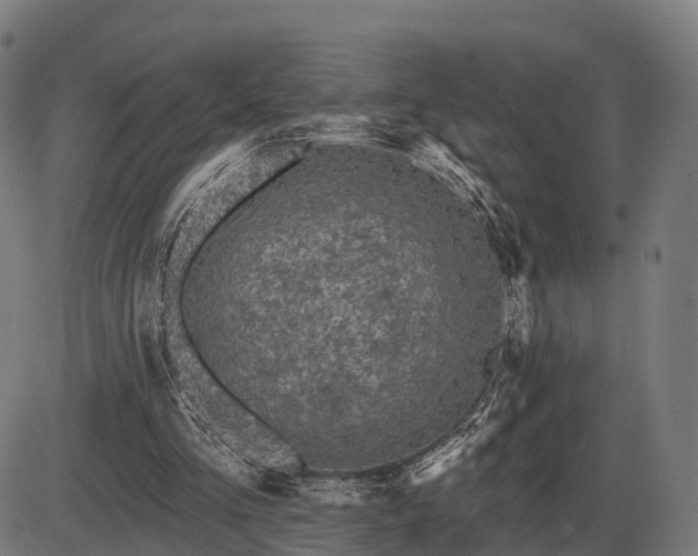 X0000085320293200703161513