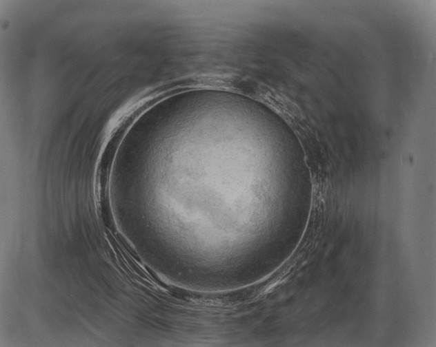 X0000085320294200703161513