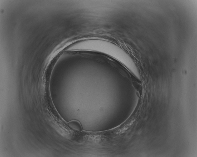 X0000085320295200703161513