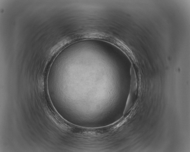 X0000085320298200703161512