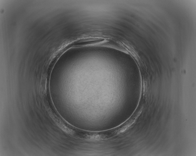 X0000085320301200703161512
