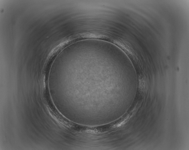 X0000085320302200703161512
