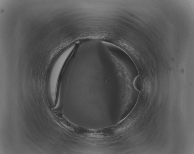 X0000085320303200703161512