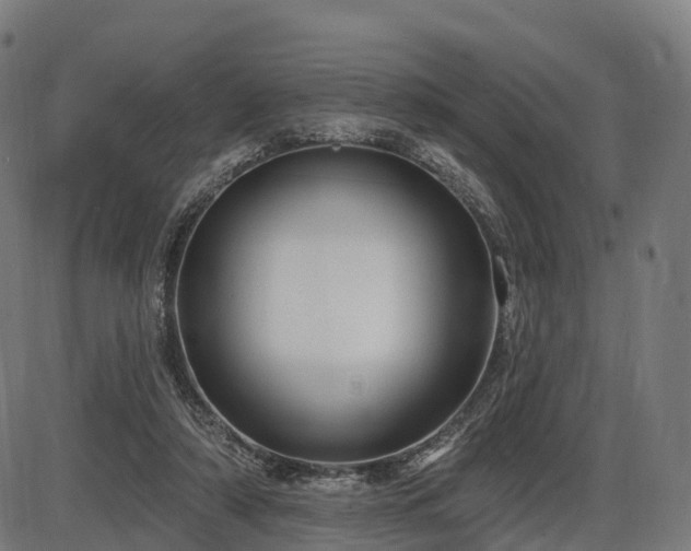 X0000085320306200703161512
