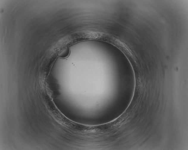 X0000085320307200703161512