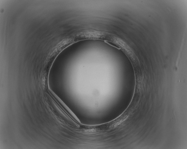 X0000085320309200703161512