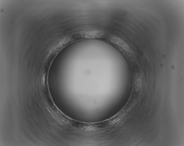 X0000085320310200703161512