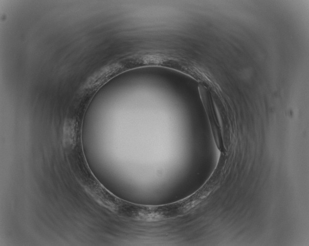 X0000085320311200703161512