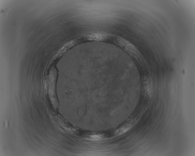 X0000085320312200703161512