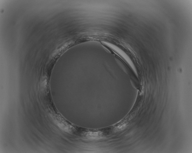 X0000085320314200703161512