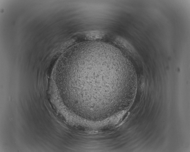 X0000085320315200703161512