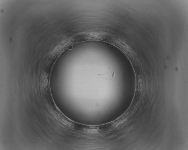 X0000085320318200703161512
