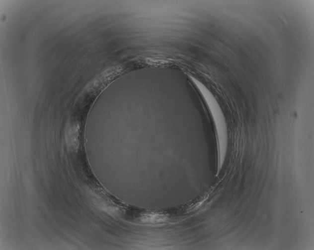 X0000085320319200703161512