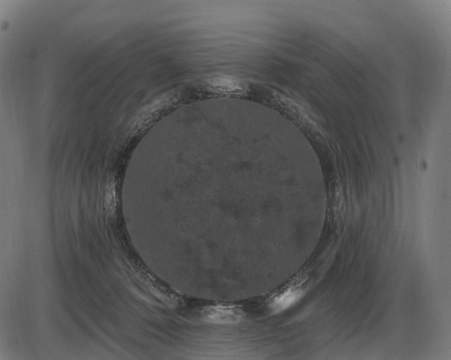 X0000085320320200703161512